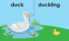 Picture of CREATIVE CHILDREN LINK & LEARN-ANIMALS