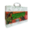 Picture of COLOR YOUR CARRY CASE ACTIVITY CASE-DINOSAUR